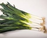 Leeks bunch TGB