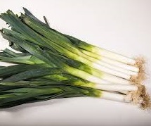 Leeks bunch TGB