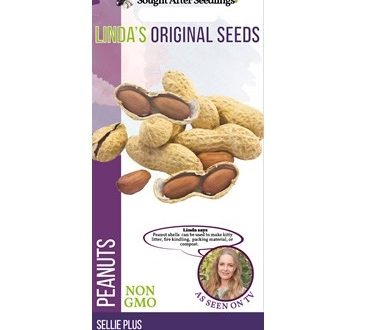 Seeds - Lindas Original - Peanuts Sellie Plus - Average 30 seeds