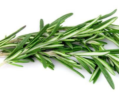 Rosemary 20g OF