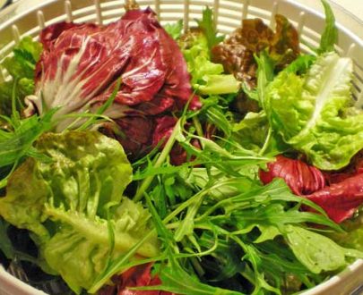 Salad Garden Fresh 120g  P