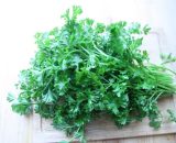 Parsley Curly Leaf 25g P