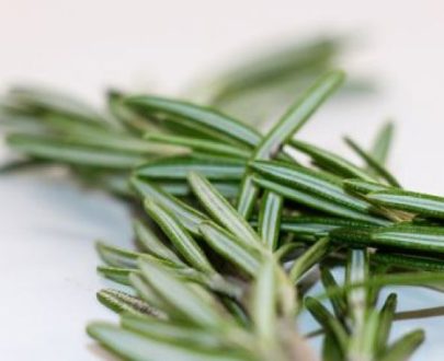 Rosemary 20g P