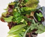 Herb salad - 150g GH