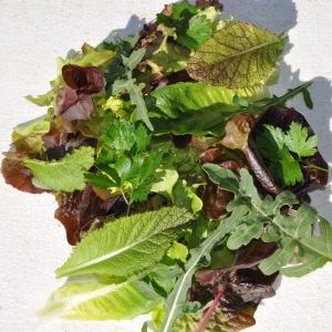 Herb salad - 150g GH