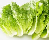 Lettuce COS 120g P