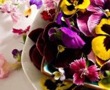 Flowers Edible Small punnet P
