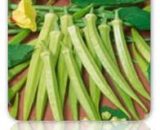 Seeds  Okra  Clemson Spineless  25 seeds