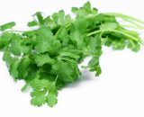 Coriander 25g P