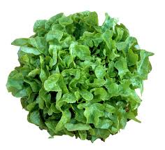 Lettuce Pack OakLeaf 120g P