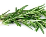 Rosemary 100g OF