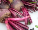 Beetroot baby pack with short stems 350g P