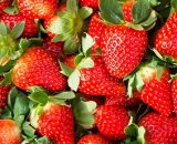 Strawberries 250g M