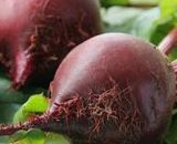 Beetroot 1kg P