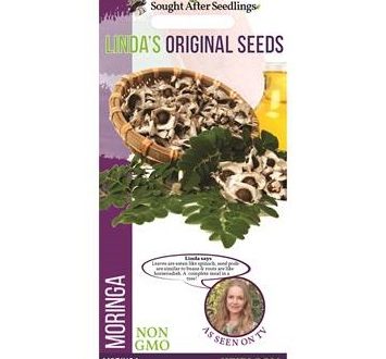 Seeds - Lindas Original - Moringa - Average content 10 seeds