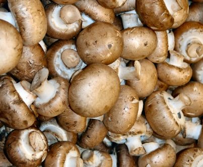 Mushrooms Portabelini 250g