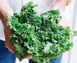 Kale Frilly 200g P