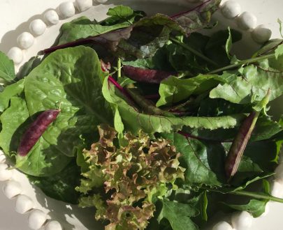 Salad 150g Lettuce, rocket and sugar snaps  SP