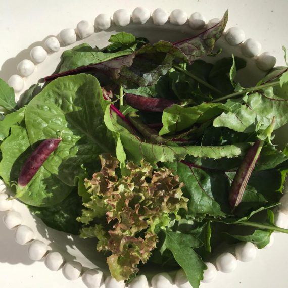 Salad 150g Lettuce, rocket and sugar snaps  SP