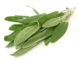 Sage 20g P