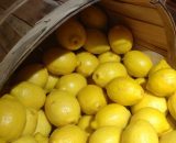 Lemons 500g  M