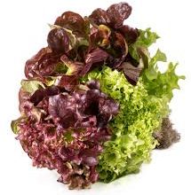 Seeds  Lettuce Oak Leaf Bright Grn and Frilly 1g