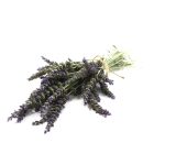 Flowers Lavender bunch 10 Stems P