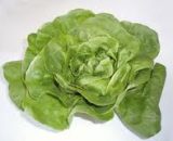 Seeds  Lettuce Butter Ultra 1g