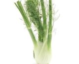 Fennel bulbs  250g P