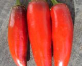 Chillies Jalapeno 50g M