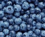 Blueberries 125g M