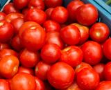 Tomatoes - Cherry red  250g GH