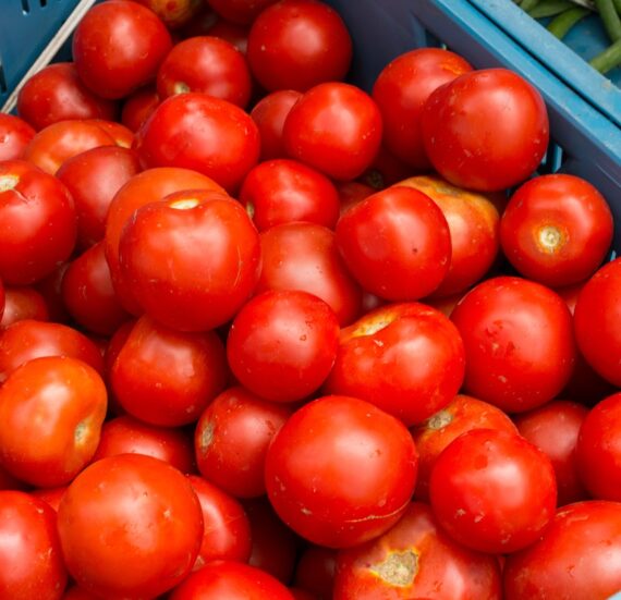 Tomatoes - Cherry red  250g GH