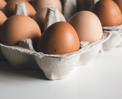 Eggs tray of 30 HF
