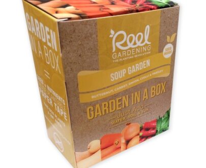 Soup Garden in a Box (Butternut, carrot, onion, chilli and parsley)