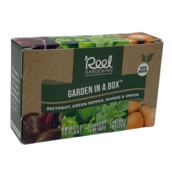Winter Vegetable Garden in a Box (Cabbage, lettuce, peas, spinach and beetroot)