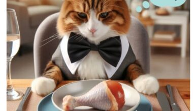 Cats Delight Gourmet Chicken 500g