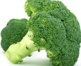 Broccoli head (Medium) M