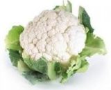 Cauliflower head (Medium) M
