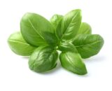 Basil 30g GH