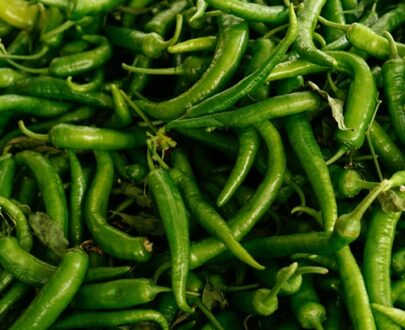 Chilli Green 100g P