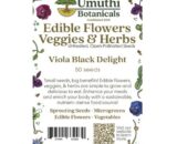 Seeds Viola Black Delight (50 Seeds) UB