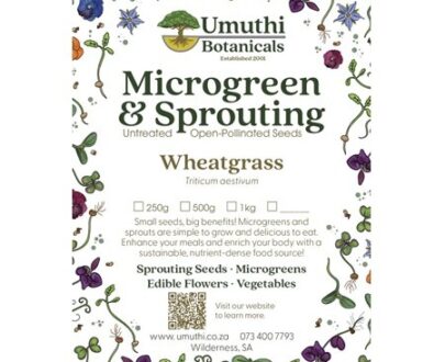 Microgreen and Sprouting seeds Wheatgrass 100g UB