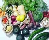 A Mini Weekly Seasonal Combo TUESDAY, 5 May 2026