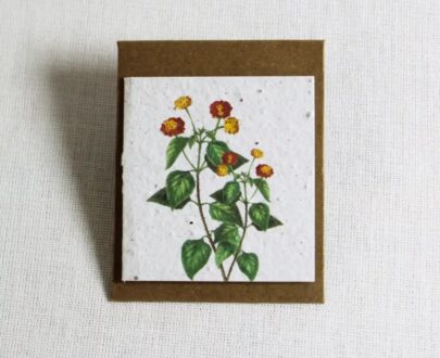 Growing Paper Mini Card plus envelope (Lantana) 60mm x 65mm