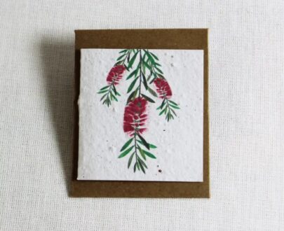 Growing Paper Mini Card plus envelope (Bottle Brush) 60mm x 65mm