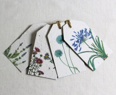 Growing Paper Seeded Gift Tags (4) 55 x 100mm (Blues Garden Story)