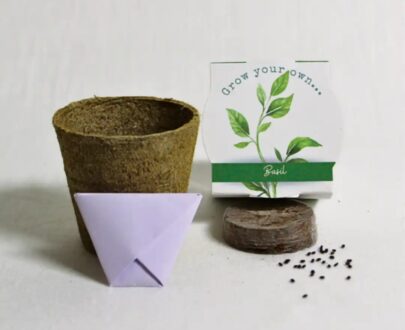 Seed Kit Basil