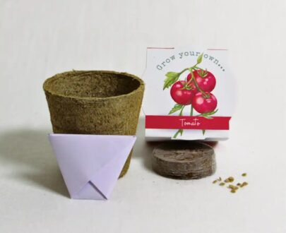 Seed Kit Tomato