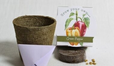 Seed Kit Green pepper